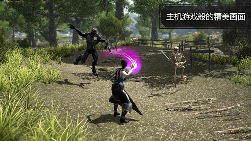 Evil Lands: Online Action RPG图片2