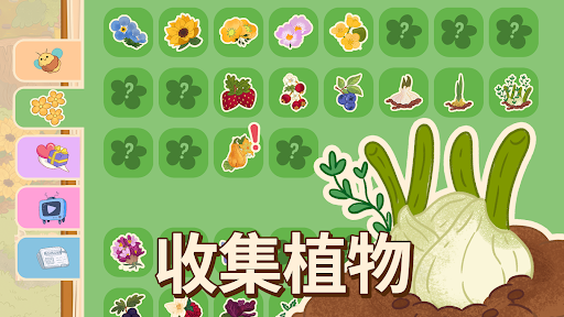 Honey Grove图片4