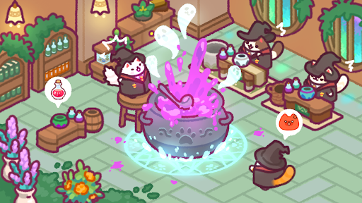 猫咪魔法学校：奇幻又可爱的大亨图片12