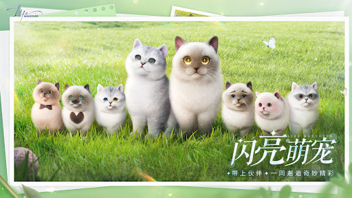 Life Makeover图片18