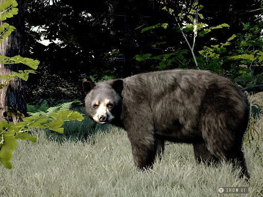 Way of the Hunter Wild America图片9