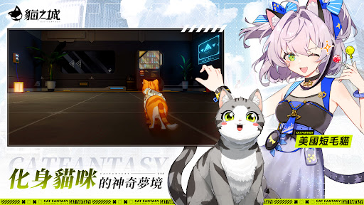 貓之城图片5