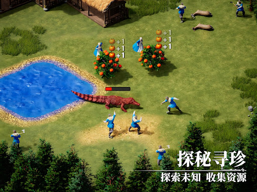 泰拉贝尔图片10