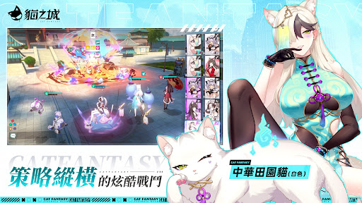 貓之城图片25