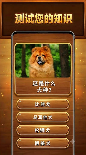 智慧之树: Trivia Blocks图片2