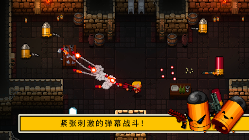 Enter the Gungeon图片3