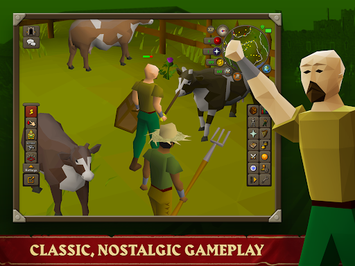 Old School RuneScape图片13