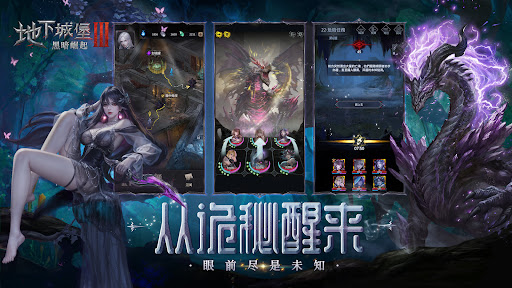 地下城堡3：黑暗崛起图片20