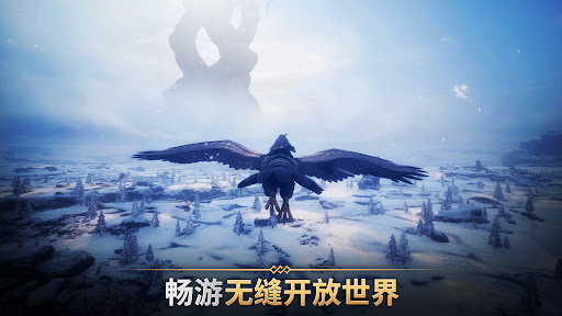 ODIN:VALHALLA RISING图片13
