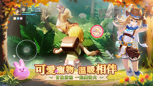 RO仙境傳說：愛如初見图片23