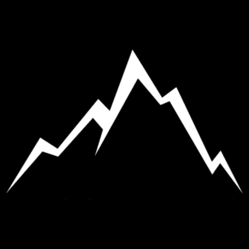 速降王者ICON